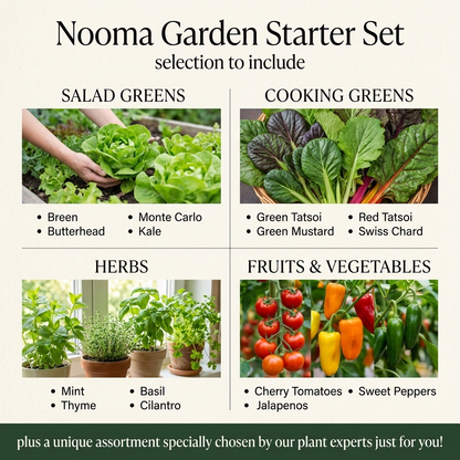 Nooma Garden